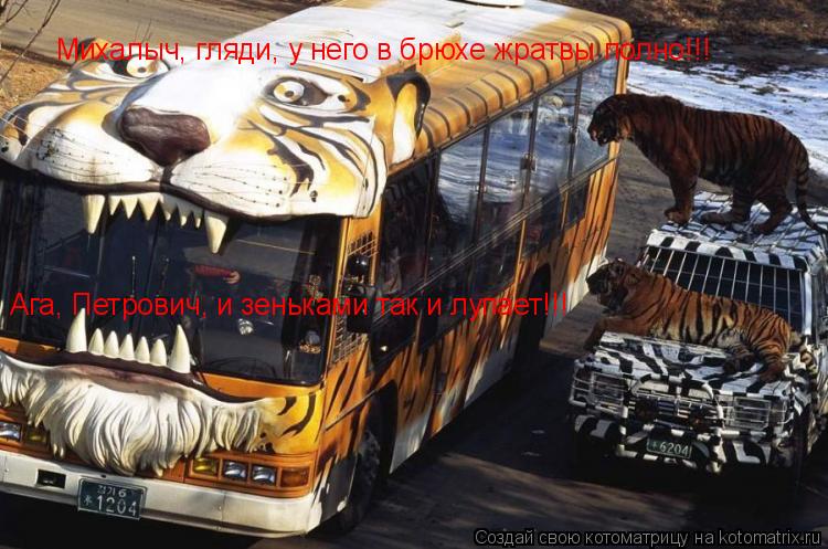 Котоматрица: Михалыч, гляди, у него в брюхе жратвы полно!!! Ага, Петрович, и зеньками так и лупает!!!