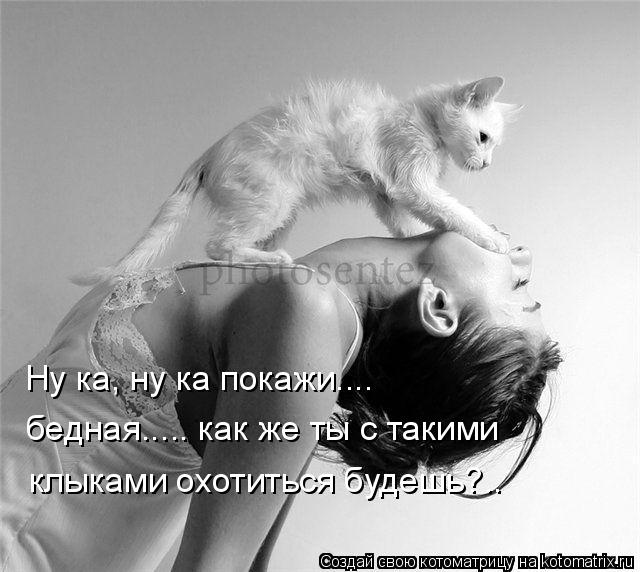 Ну ка, ну ка покажи.... бедная..... как же ты с такими клыками охотиться будешь?..... Котоматрица: Ну ка, ну ка покажи.... бедная..... как же ты с такими клыками охотиться будешь?..