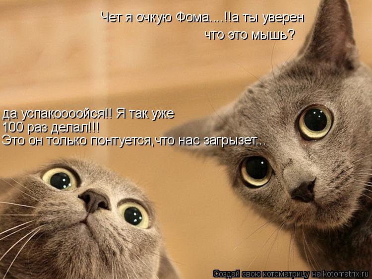 Чет я очкую Фома....!!а ты уверен что это мышь? да успакоооойся!! Я так уже 100 раз делал!!! Это он т... Котоматрица: Чет я очкую Фома....!!а ты уверен что это мышь? да успакоооойся!! Я так уже 100 раз делал!!! Это он только понтуется,что нас загрызет...