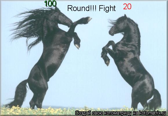 Котоматрица: Round!!! Fight 100 20