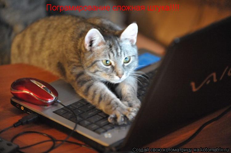 Пограмирование сложная штука!!!!... Котоматрица: Пограмирование сложная штука!!!!