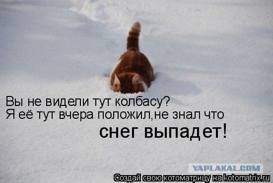Вы не видели тут колбасу? Я её тут вчера положил,не знал что снег выпадет!... Котоматрица: Вы не видели тут колбасу? Я её тут вчера положил,не знал что снег выпадет!