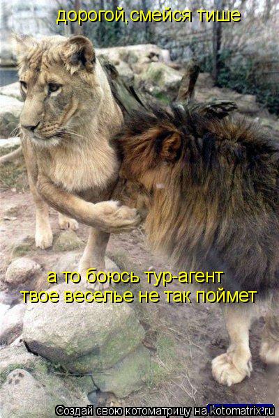 Котоматрица: дорогой,смейся тише а то боюсь тур-агент твое веселье не так поймет
