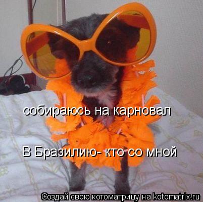 Котоматрица: собираюсь на карновал  В Бразилию- кто со мной