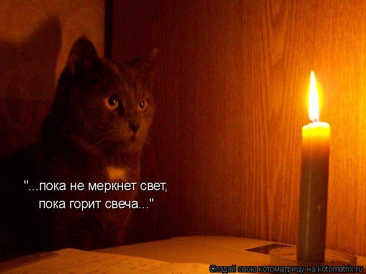 Котоматрица: "...пока не меркнет свет, пока горит свеча..."
