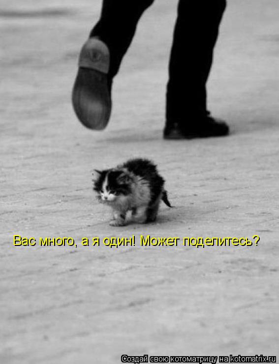 Котоматрица: Вас много, а я один! Может поделитесь?