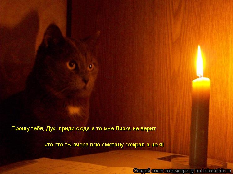 Котоматрица: Прошу тебя, Дух, приди сюда а то мне Лизка не верит что это ты вчера всю сметану сожрал а не я!