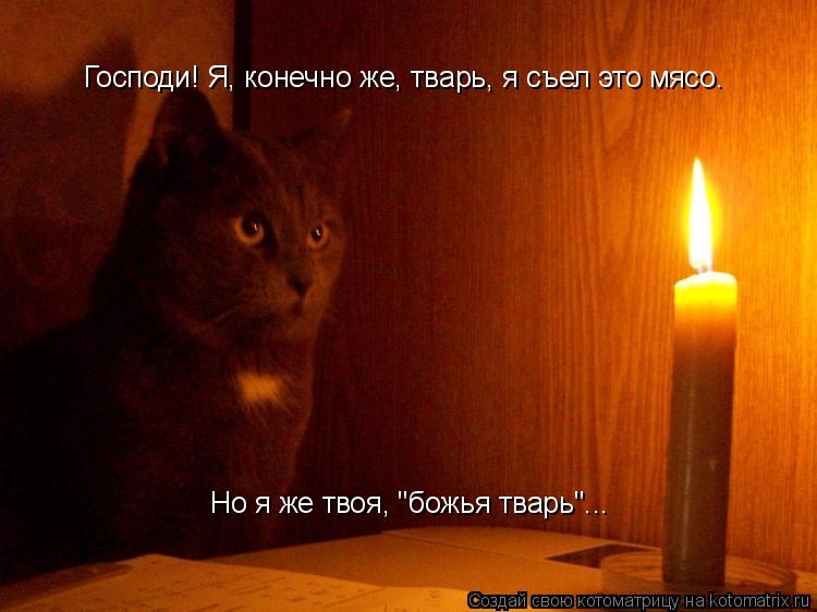 Котоматрица: Господи! Я, конечно же, тварь, я съел это мясо. Но я же твоя, "божья тварь"...