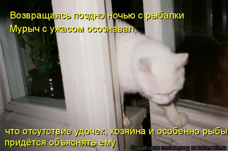 Котоматрица: Возвращаясь поздно ночью с рыбалки Мурыч с ужасом осознавал, что отсутствие удочек, хозяина и особенно рыбы придётся объяснять ему