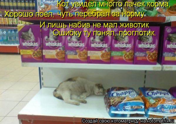 Кот увидел многго пачек корма, И лишь набив не мал животик Ошибку ту понял, проглотик. Хорошо поел, ч... Котоматрица: Кот увидел многго пачек корма, И лишь набив не мал животик Ошибку ту понял, проглотик. Хорошо поел, чуть перебрал за норму.