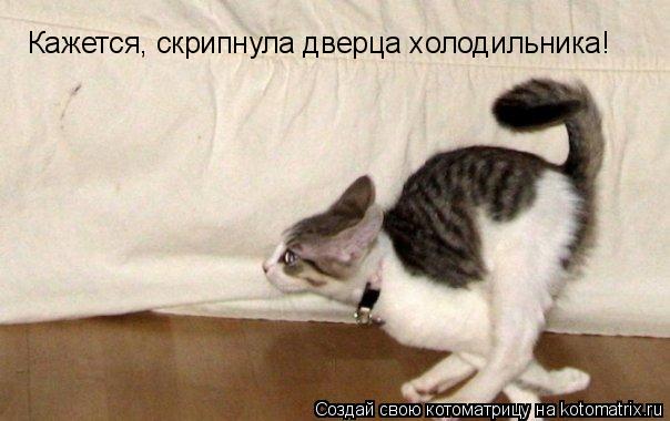 Котоматрица: Кажется, скрипнула дверца холодильника!