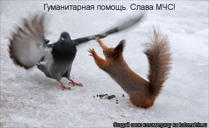 Котоматрица: Гуманитарная помощь. Слава МЧС!