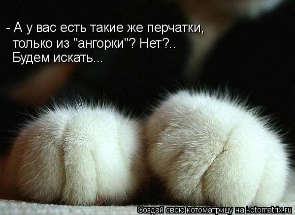 Котоматрица: - А у вас есть такие же перчатки, только из "ангорки"? Нет?.. Будем искать...