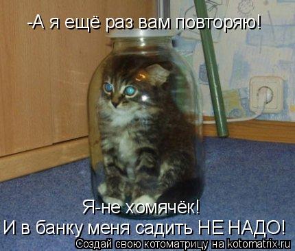 Я-не хомячёк! И в банку меня садить НЕ НАДО! -А я ещё раз вам повторяю!... Котоматрица: Я-не хомячёк! И в банку меня садить НЕ НАДО! -А я ещё раз вам повторяю!