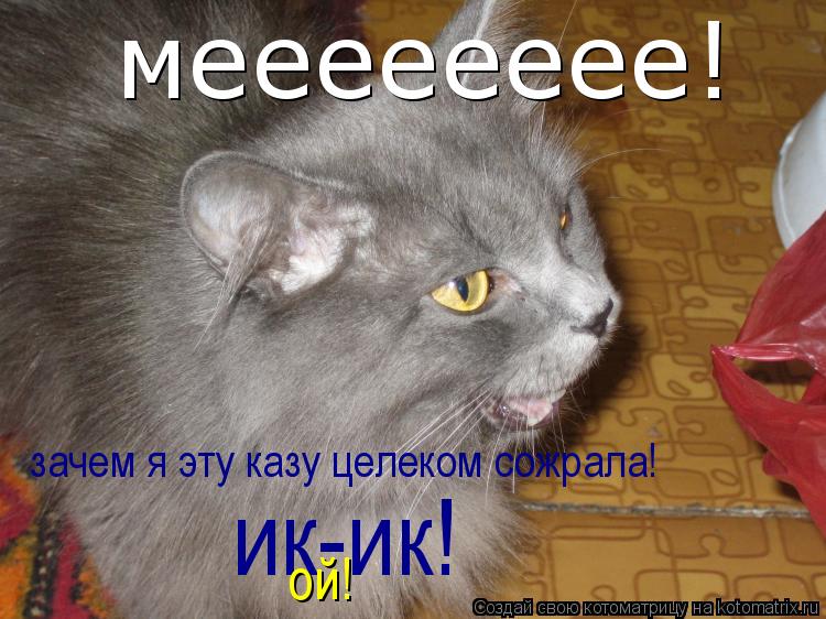 мееееееее! зачем я эту казу целеком сожрала! ик-ик! ой!... Котоматрица: мееееееее! зачем я эту казу целеком сожрала! ик-ик! ой!