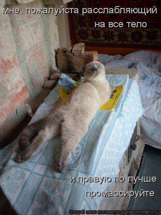 мне, пожалуйста расслабляющий на все тело и правую по лучше промассируйте... Котоматрица: мне, пожалуйста расслабляющий на все тело и правую по лучше промассируйте