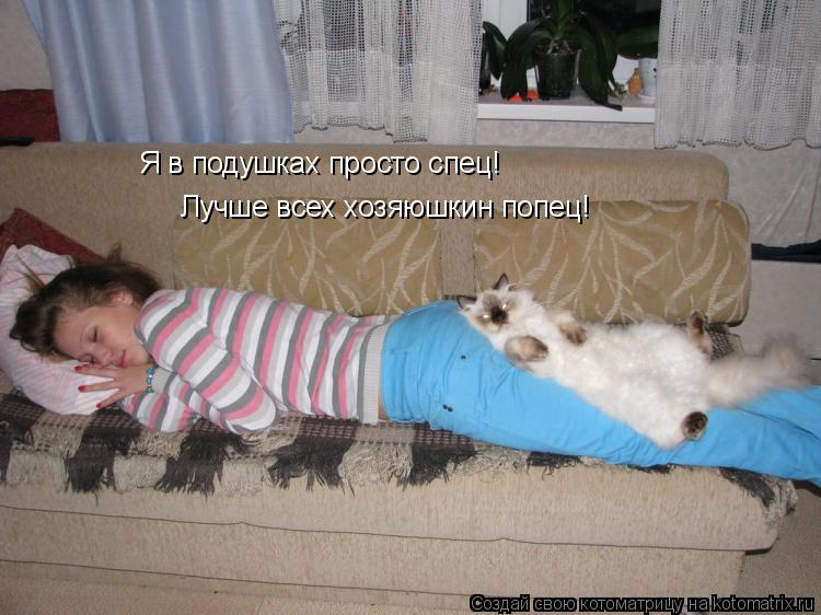 Я в подушках просто спец! Лучше всех хозяюшкин попец!... Котоматрица: Я в подушках просто спец! Лучше всех хозяюшкин попец!