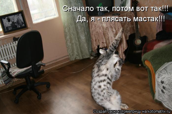 Сначало так, потом вот так!!! Да, я - плясать мастак!!! Да, я - плясать мастак!!! Да, я - плясать мас... Котоматрица: Сначало так, потом вот так!!! Да, я - плясать мастак!!! Да, я - плясать мастак!!! Да, я - плясать мастак!!!