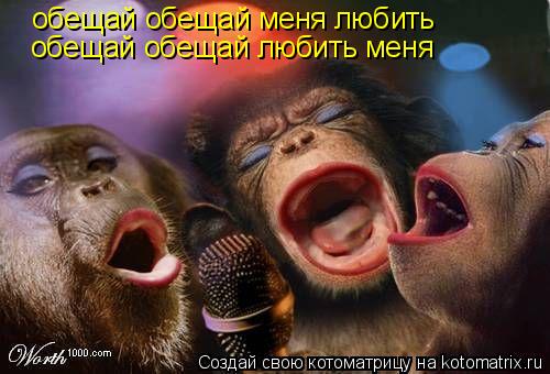 обещай обещай меня любить обещай обещай любить меня... Котоматрица: обещай обещай меня любить обещай обещай любить меня