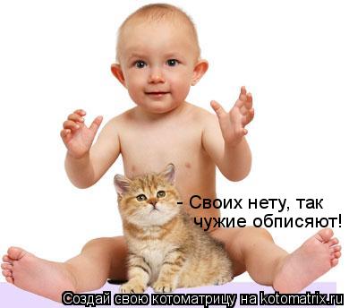Котоматрица: - Своих нету, так  чужие обписяют!