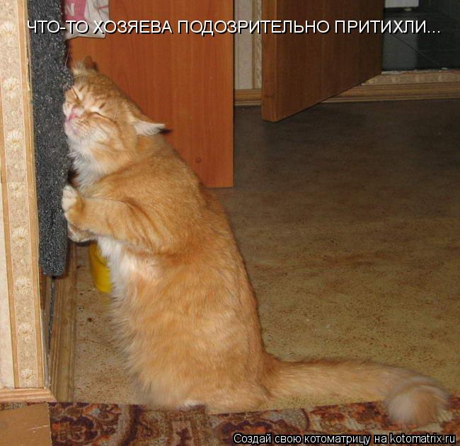 Котоматрица: ЧТО-ТО ХОЗЯЕВА ПОДОЗРИТЕЛЬНО ПРИТИХЛИ...