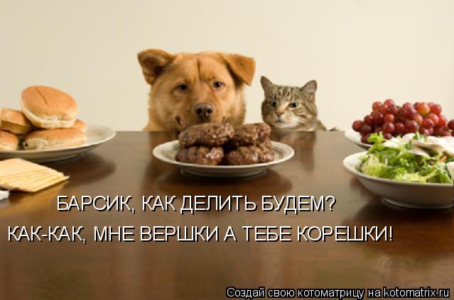 Котоматрица: БАРСИК, КАК ДЕЛИТЬ БУДЕМ? КАК-КАК, МНЕ ВЕРШКИ А ТЕБЕ КОРЕШКИ!