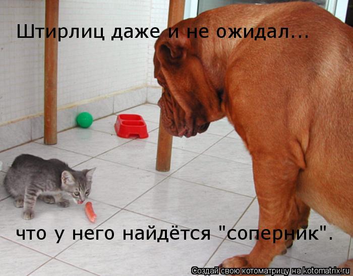 Котоматрица: Штирлиц даже и не ожидал... что у него найдётся "соперник".