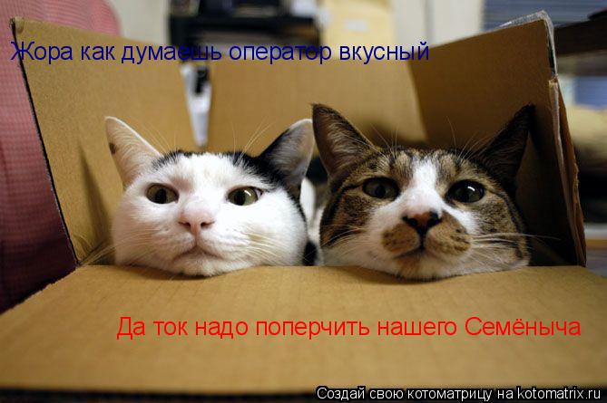 Котоматрица: Жора как думаешь оператор вкусный Да ток надо поперчить нашего Семёныча