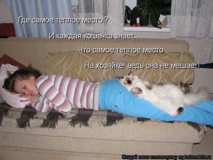 Котоматрица: Где самое теплое место ? И каждая кошечка знает, Что самое теплое место На хозяйке! ведь она не мешает!