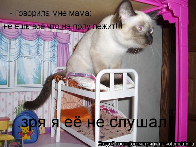 Котоматрица: - Говорила мне мама: не ешь всё что на полу лежит!!! зря я её не слушал!