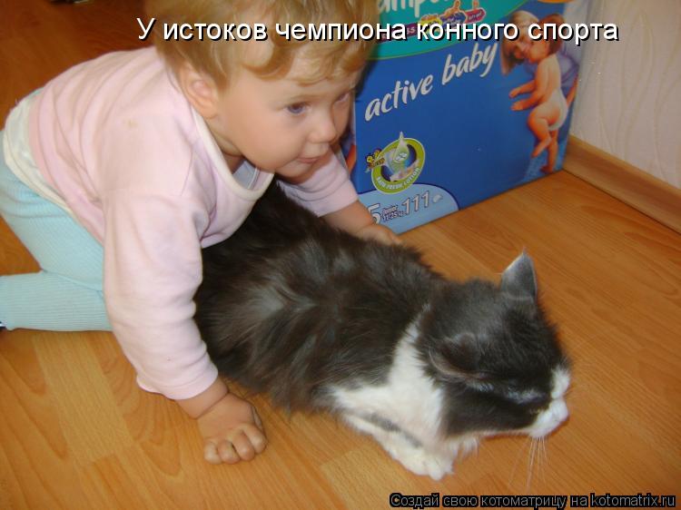 Котоматрица: У истоков чемпиона конного спорта