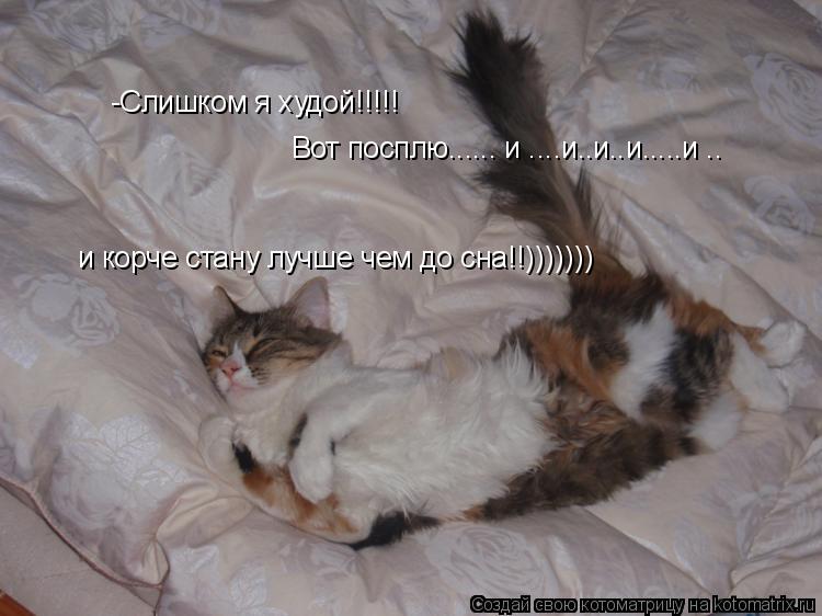 Котоматрица: -Слишком я худой!!!!! Вот посплю...... и ....и..и..и.....и .. и корче стану лучше чем до сна!!)))))))