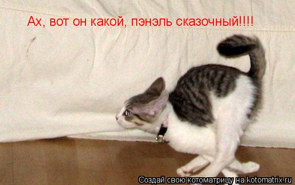 Котоматрица: Ах, вот он какой, пэнэль сказочный!!!!