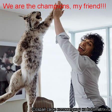 We are the champions, my friend!!!... Котоматрица: We are the champions, my friend!!!