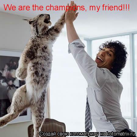 Котоматрица: We are the champions, my friend!!!