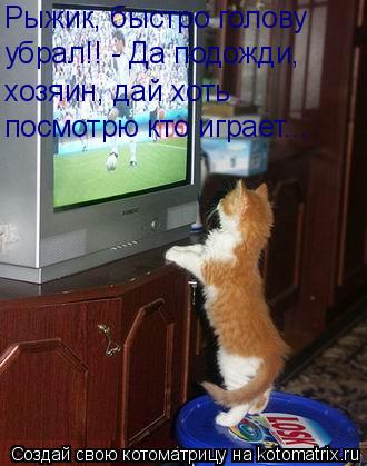 Рыжик, быстро голову убрал!! - Да подожди, хозяин, дай хоть посмотрю кто играет...... Котоматрица: Рыжик, быстро голову убрал!! - Да подожди, хозяин, дай хоть посмотрю кто играет...