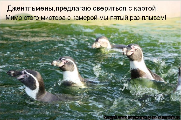 Джентльмены,предлагаю свериться с картой! Мимо этого мистера с камерой мы пятый раз плывем!... Котоматрица: Джентльмены,предлагаю свериться с картой! Мимо этого мистера с камерой мы пятый раз плывем!