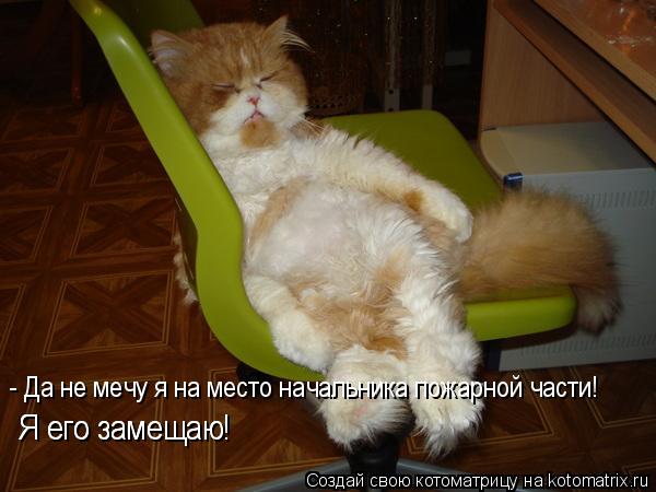 Котоматрица: - Да не мечу я на место начальника пожарной части!  Я его замещаю! Я его замещаю!