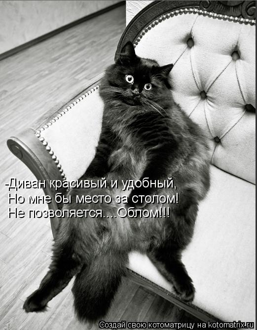 Котоматрица: -Диван красивый и удобный, Но мне бы место за столом! Не позволяется....Облом!!!