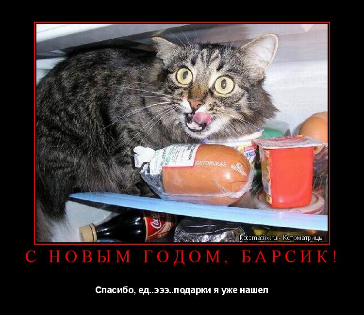 Котоматрица: С Новым Годом, БАРСИК! Спасибо, ед..эээ..подарки я уже нашел