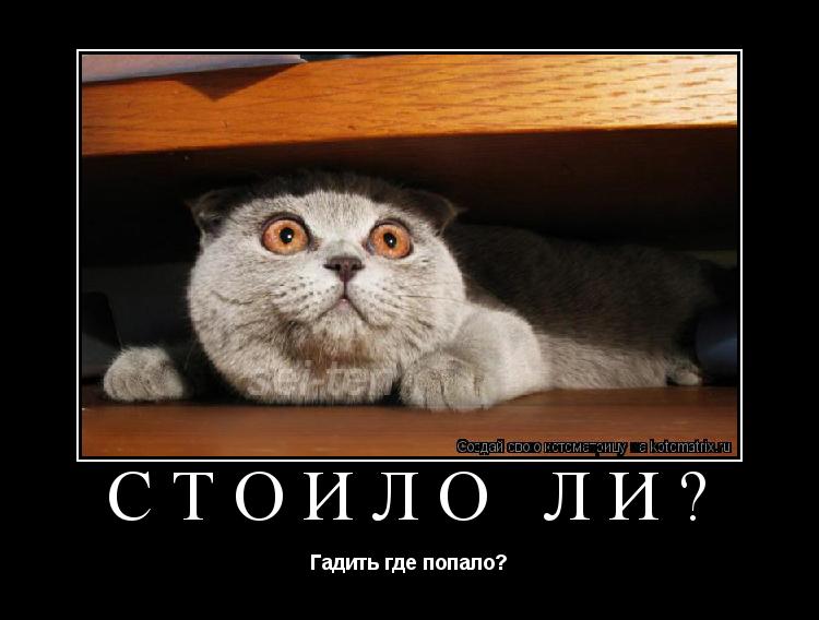 Котоматрица: Стоило ли? Гадить где попало?