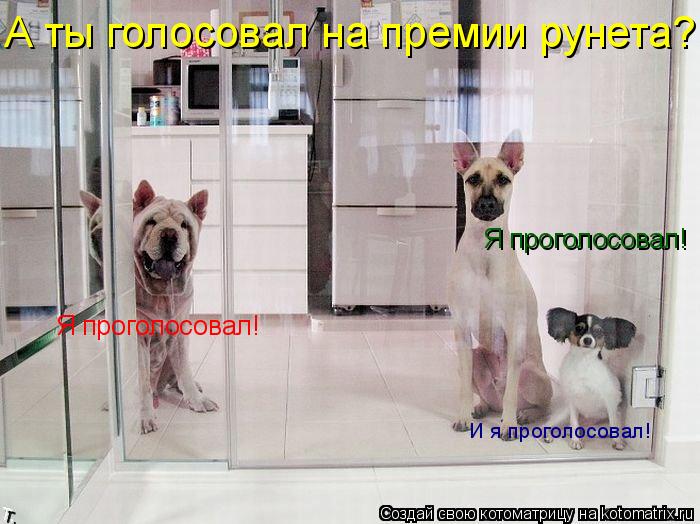 Котоматрица: Я проголосовал! И я проголосовал! Я проголосовал! А ты голосовал на премии рунета?