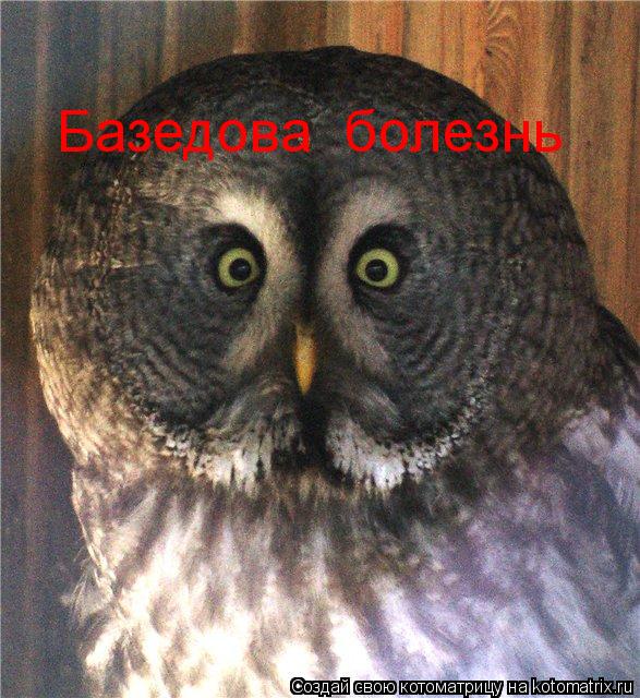 Базедова болезнь... Котоматрица: Базедова болезнь