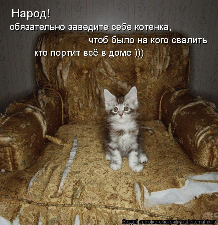 Котоматрица: Народ! обязательно заведите себе котенка, чтоб было на кого свалить кто портит всё в доме )))