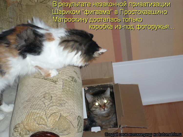 Котоматрица: В результате незаконной приватизации  Шариком "фигвама" в Простоквашино Матроскину досталась только коробка из-под фоторужья...