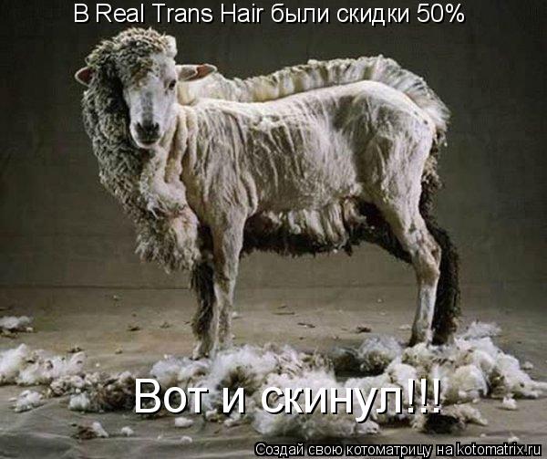 Котоматрица: В Real Trans Hair были скидки 50% Вот и скинул!!!
