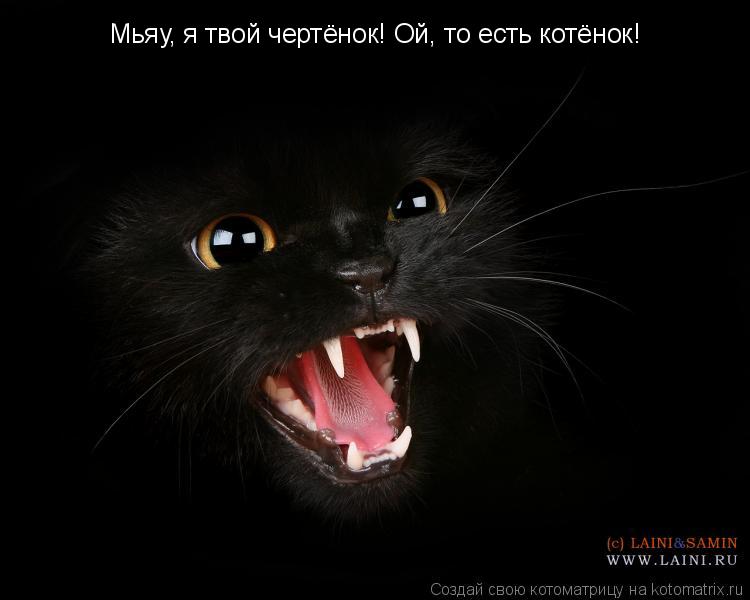 Котоматрица: Мьяу, я твой чертёнок! Ой, то есть котёнок!