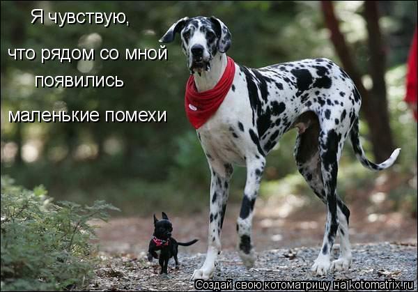 Котоматрица: Я чувствую, что рядом со мной появились маленькие помехи