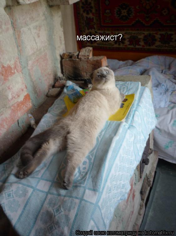 Котоматрица: массажист?
