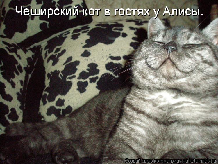Чеширский кот в гостях у Алисы.... Котоматрица: Чеширский кот в гостях у Алисы.